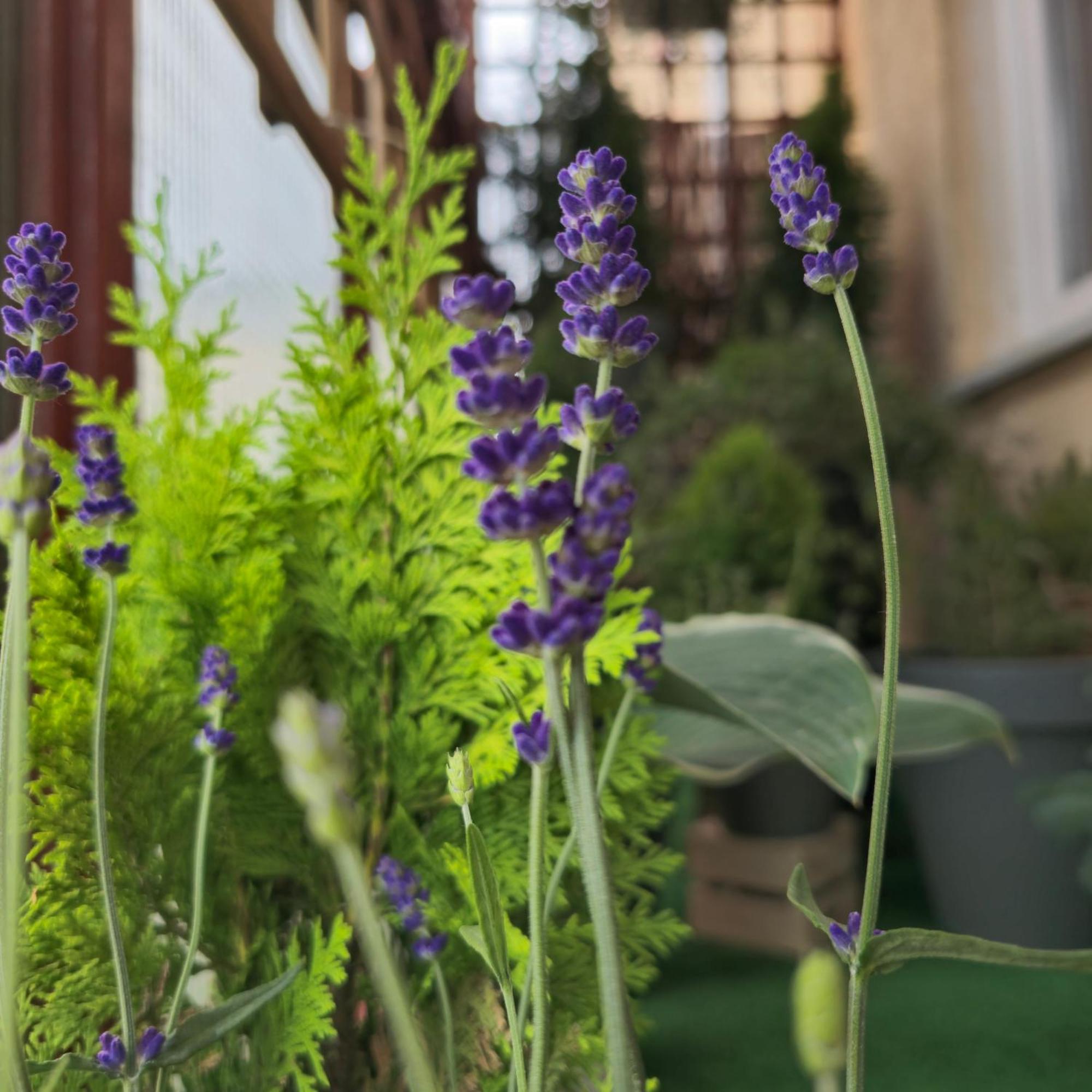 Apartamenty Magvel Štetín Exteriér fotografie
